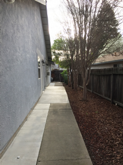 Side Yard
