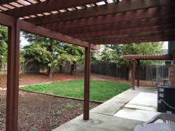 Backyard view