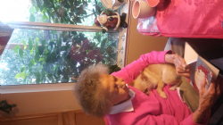 Care home photo